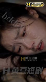 老农调教精致母狗海报